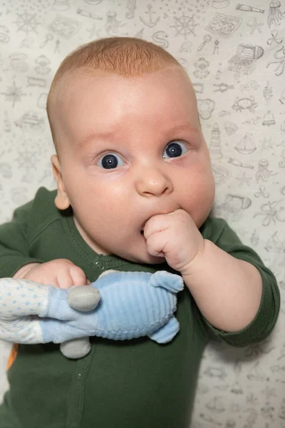 Small Three Month Old Baby Holds Soft Toy His Hands — стоковое фото