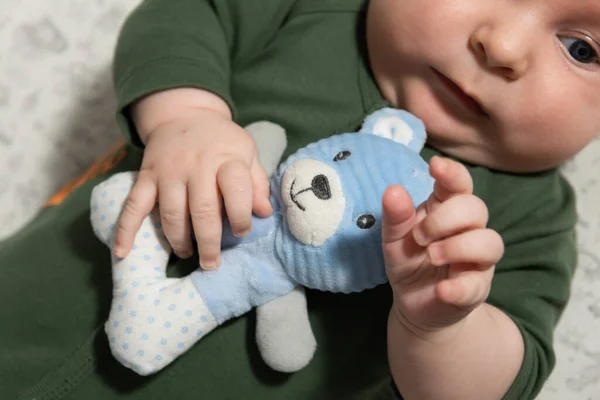 Small Three Month Old Baby Holds Soft Toy His Hands — стоковое фото