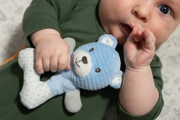 Small Three Month Old Baby Holds Soft Toy His Hands — стоковое фото