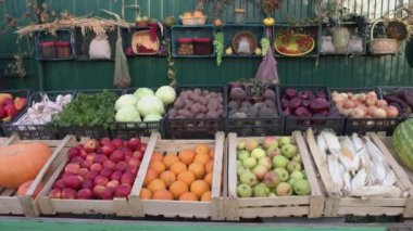Sebzeler ve meyveler tezgahta. Sebze ve meyve kutuları boyunca yumuşak kamera hareketi: mısır, elma, portakal, balkabağı, kavun, patlıcan, soğan, pancar, patates, lahana, maydanoz, sarımsak, biber, kabak.
