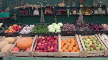 Sebzeler ve meyveler tezgahta. Sebze ve meyve kutuları boyunca yumuşak kamera hareketi: mısır, elma, portakal, balkabağı, kavun, erik, patlıcan, soğan, pancar, patates, lahana, maydanoz, sarımsak, biber, kabak,.