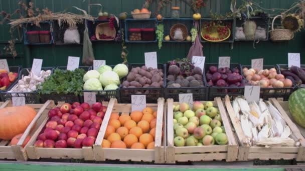 市场柜台上的蔬菜和水果 沿着几盒蔬菜和水果 卷心菜 胡椒粉 西葫芦 顺利地移动摄像机 — 图库视频影像