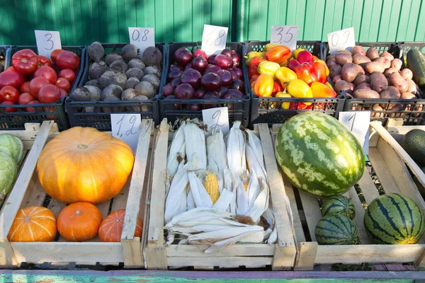 Sebzeler ve meyveler tezgahta. Kutularda: domates, pancar, soğan, biber, patates, balkabağı, mısır, karpuz.