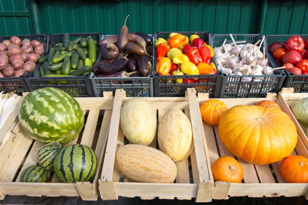 Sebzeler ve meyveler tezgahta. Kutularda patates, salatalık, patlıcan, biber, sarımsak, domates, karpuz, kavun, kabak var..
