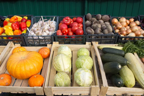 Zelenina Trhu Stánku Krabičky Obsahují Papriky Česnek Rajčata Řepu Cibuli — Stock fotografie