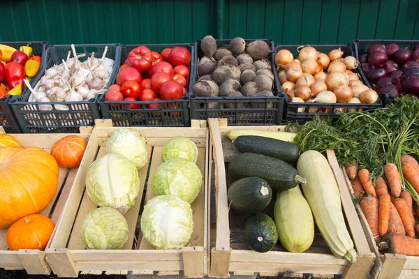 Zelenina Trhu Stánku Krabice Obsahují Papriky Česnek Rajčata Řepu Cibuli — Stock fotografie