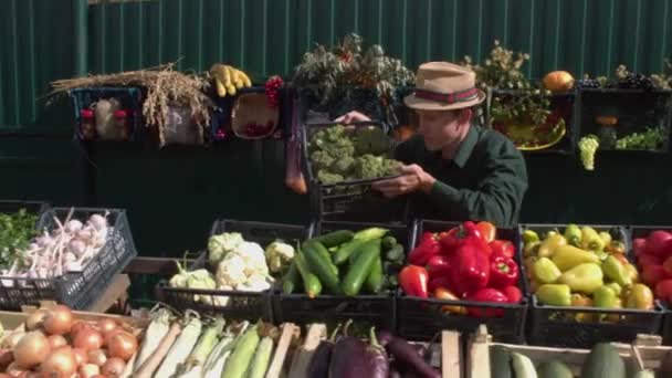 一位男性销售员把一盒西兰花放在柜台上 然后看着相机 相机沿着盒子平稳地移动 里面有各种各样的蔬菜 — 图库视频影像
