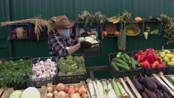 Karnabahar Çiftçi Pazarında Slow Motion Erkek Bir Satıcı Tezgahın Üzerine — Stok video