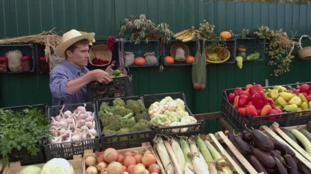 Komkommers Boerenmarkt Slow Motion Een Mannelijke Verkoper Legt Een Doos — Stockvideo