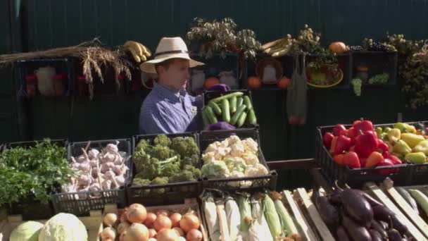 Gurken Auf Dem Bauernmarkt Ein Männlicher Verkäufer Stellt Eine Kiste — Stockvideo