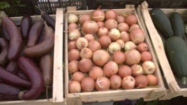 Marketteki sebzeler. Sebze kasaları boyunca düzgün kamera hareketi: kabak, soğan, patlıcan, patates, lahana, mor soğan.