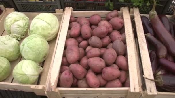 Legumes Balcão Mercado Movimento Suave Câmera Longo Das Caixas Legumes — Vídeo de Stock