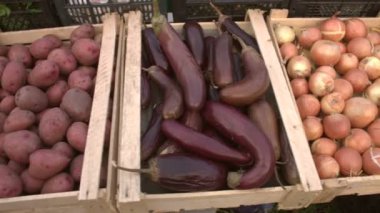 Marketteki sebzeler. Sebze kasaları boyunca düzgün kamera hareketi: soğan, patlıcan, patates, lahana, mor soğan, kabak.