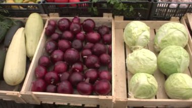 Marketteki sebzeler. Sebze kasaları boyunca düzgün kamera hareketi: havuç, kabak, soğan, lahana, patates, patlıcan, mısır.