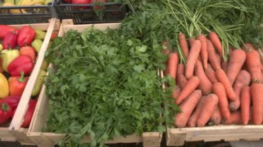 Marketteki sebzeler. Sebze kasaları boyunca düzgün kamera hareketi: kabaklar, biber, maydanoz, havuç, kabak, soğan moru, patates.