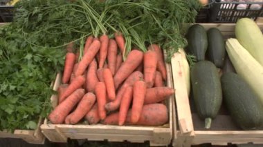 Marketteki sebzeler. Sebze kasaları boyunca düzgün kamera hareketi: biber, maydanoz, havuç, kabak, mor soğan, lahana, patates.