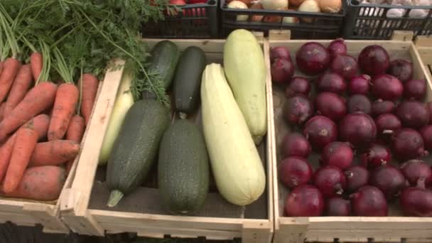 Legumes Balcão Mercado Movimento Suave Câmera Longo Das Caixas Legumes — Vídeo de Stock