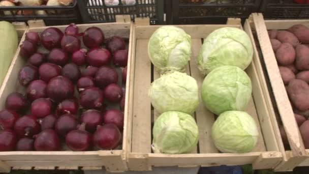 Gemüse Auf Der Ladentheke Sanfte Kamerafahrten Entlang Der Gemüsekisten Kartoffeln — Stockvideo