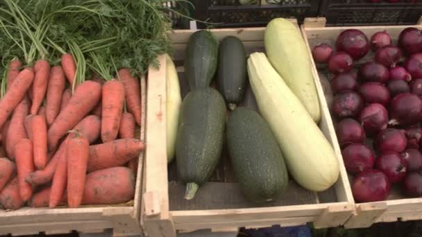 Verduras Mostrador Del Mercado Movimiento Suave Cámara Largo Las Cajas — Vídeo de stock