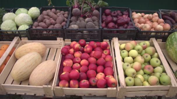 Légumes Fruits Comptoir Marché Mouvement Fluide Caméra Long Des Boîtes — Video