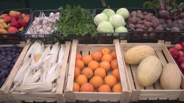 市场柜台上的蔬菜和水果 在蔬菜和水果盒中平稳地移动摄像机 胡椒粉 卷心菜 — 图库视频影像