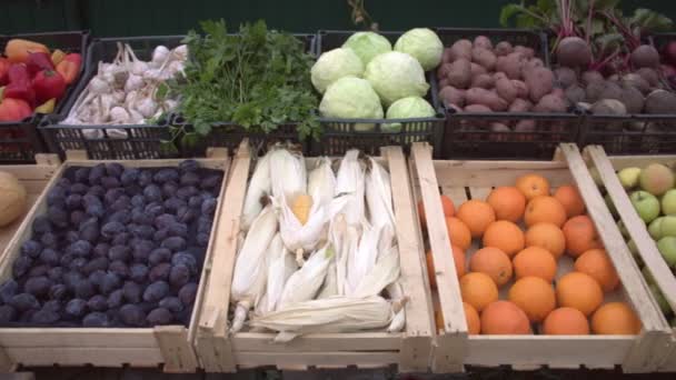 Legumes Frutas Balcão Mercado Caixas Contêm Abobrinha Pimenta Alho Salsa — Vídeo de Stock