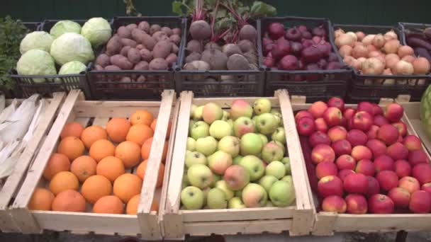 Gemüse Und Obst Auf Der Ladentheke Sanfte Kamerafahrten Entlang Der — Stockvideo