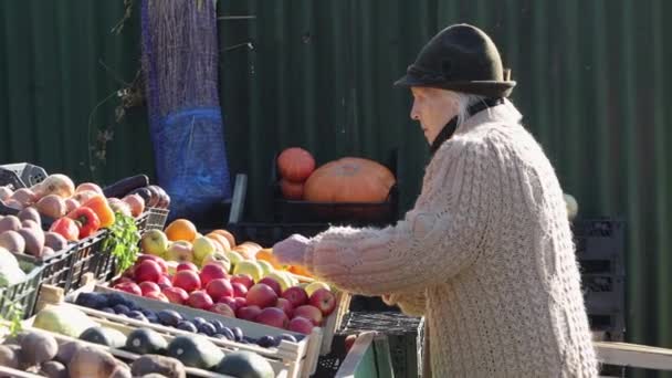 진열대에 사과요 할머니가 농산물 시장에서 사과를 고르시네 — 비디오