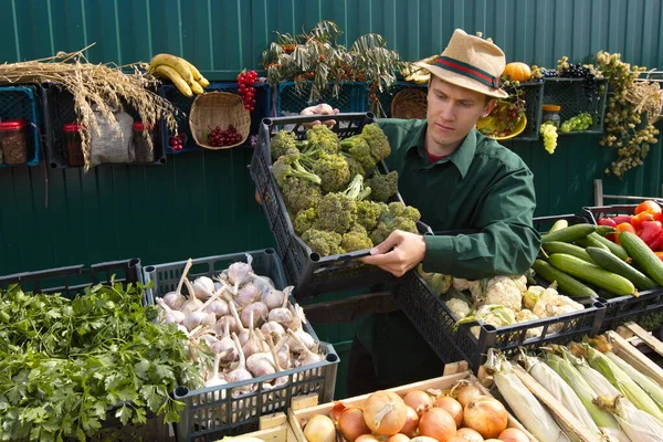 Çiftçi pazarında brokoli. Erkek bir satıcı tezgahın üzerine bir kutu brokoli koyar..