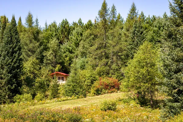 Burk Şelalesi, Ontario, Kanada - 31 Ağustos 2021: Kanada 'nın Ontario kentinde yeşil ağaçlar ve ormanlarla çevrili kırmızı çatılı küçük ahşap kulübe. 