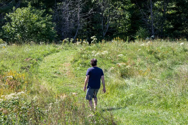 Kırklı yaşlarda beyaz bir adam karanlık bir ormana doğru biçilmiş bir yolda yürüyor. Sağa bakıyor. Arka görünüm. 