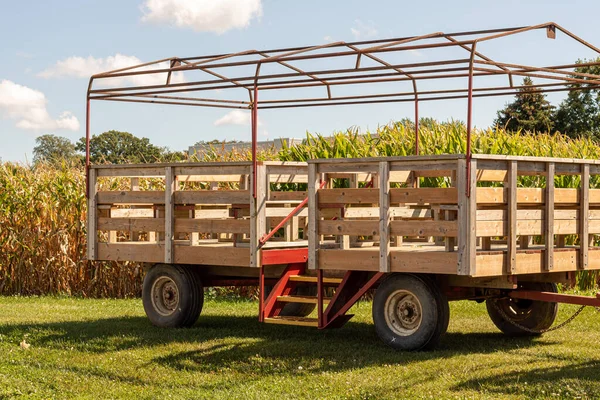 Karavan yatağında metal çerçeveli ahşap bir vagon. Mısır tarlasının önüne park ettim.. 