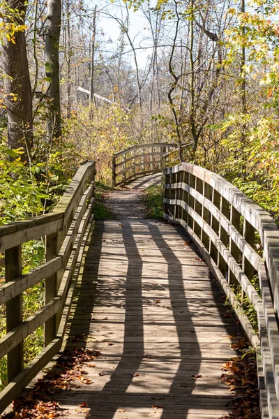 Doğa üzerine ahşap köprü Rondeau Provincial Park, Ontario, Kanada 'da orman boyunca yürüyor.