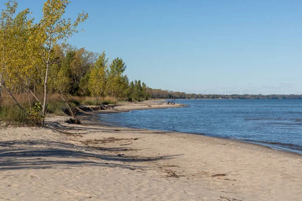Ontario, Kanada 'daki Rondeau Provincial Park plajı. Erie Gölü. Uzakta tanınmayan insanlar.