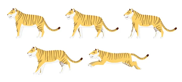 Jeu Illustration Tigre Côté Walk Run — Image vectorielle