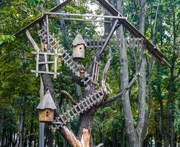 Maison Pour Les Oiseaux Dans Parc Municipal Kiev — Photo