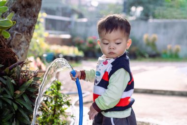 Küçük sevimli Asyalı çocuk güneşli bir günde bahçesinde bahçe çiçeklerini ve çimleri hortumla sularken eğleniyor ve oyun oynuyor. Çocuk küçük yardımcı bahçe işlerini dışarıda öğreniyor. Çocukluk kavramı 