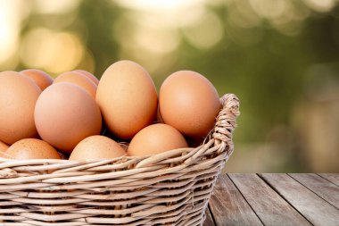 Hasır sepetin içinde toplanmış taze yumurtalar, yemek malzemesi olarak kullanılabilir. Ahşap masada kaliteli organik tarlalardan taze yumurtalar ve bulanık yeşil arka plan. Sağlıklı gıda konsepti