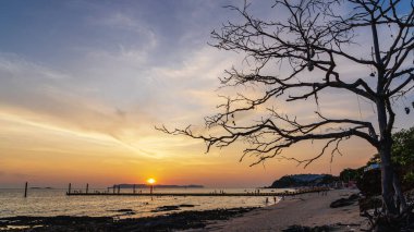 Okyanusun parlak turuncu suları üzerinde parlayan renkli günbatımı manzarası. Koh Larn Sahili 'nde gün batımında yürüyen, rahatlatan ve fotoğraf çeken turist silueti.. 