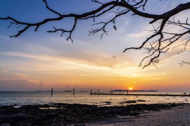 Ölü ağaç dalları silueti ve Koh Larn Sahili 'nde gün batımında dinlenen ve fotoğraf çeken turistler. Parlak turuncu okyanus suları üzerinde parlayan renkli günbatımı manzarası. 