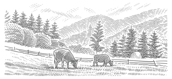 Mucche Pascolo Una Montagna Paesaggio Vettore Linea Incisione Stile Illustrazione — Vettoriale Stock