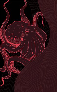 Basit çizgileri olan çizgili el ahtapotu.