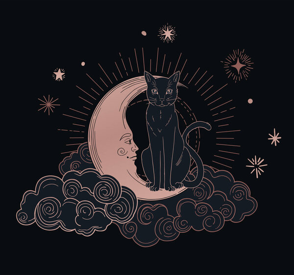  illustration of mystic cat with mystic space and moon