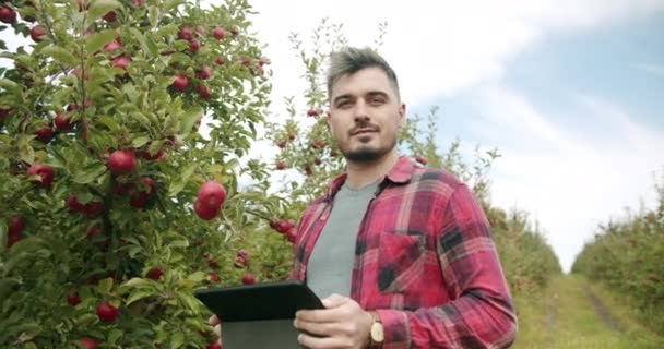 Фермер с помощью планшетного гаджета в яблоневом саду, улыбка и глядя на камеру — стоковое видео