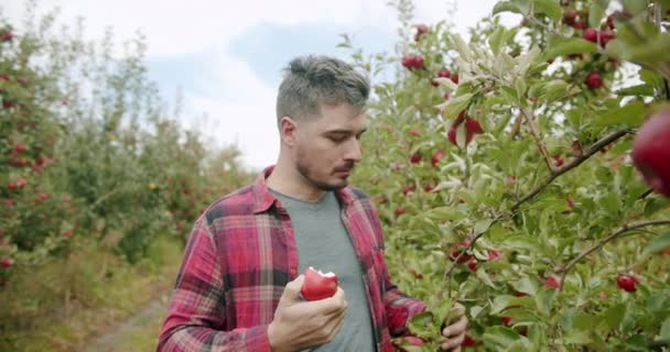 Mladý muž jíst červené jablko na pozadí jabloní, úsměv a šťastný — Stock video