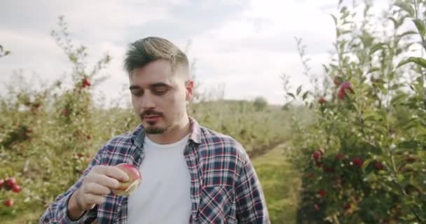 Egy fiatal férfi vörös almát eszik az almafák hátterében, mosolyog és boldog. — Stock videók