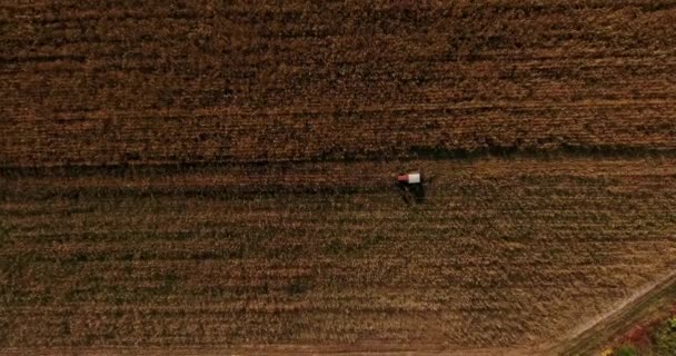 Mezőgazdasági földterület, a traktor működik, légi kilátás a búza betakarítás és a kukorica — Stock videók