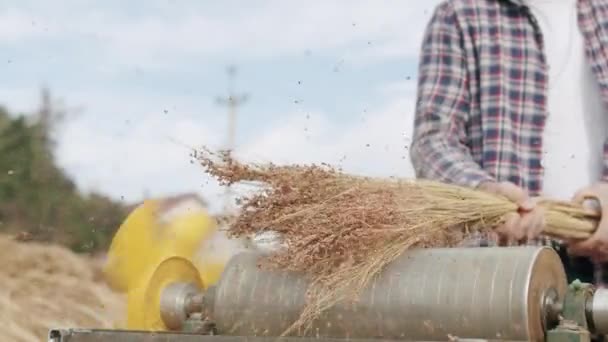 Campesino haciendo escoba de paja tradicional con sorgo, escoba natural — Vídeos de Stock