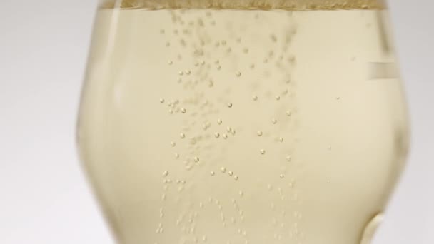 Пузыри в бокале шампанского на белом фоне, Закрыться — стоковое видео
