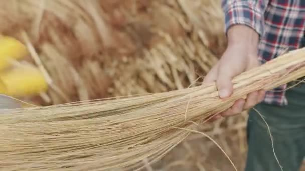 Фермер делает традиционную Соломенную метлу с сорго, натуральной метлой — стоковое видео